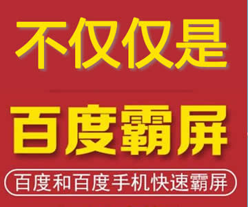 分享一個(gè)最近的海量關(guān)鍵詞推廣典型案例