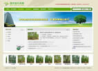 綠化苗木網(wǎng)站建設(shè)案例