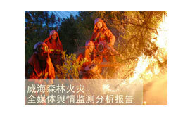 輿情監(jiān)測案例