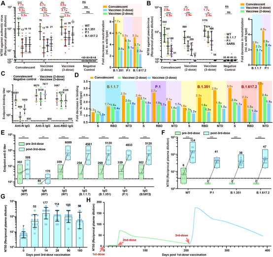 科興新冠滅活疫苗加強第三針:良好抵御變異毒株