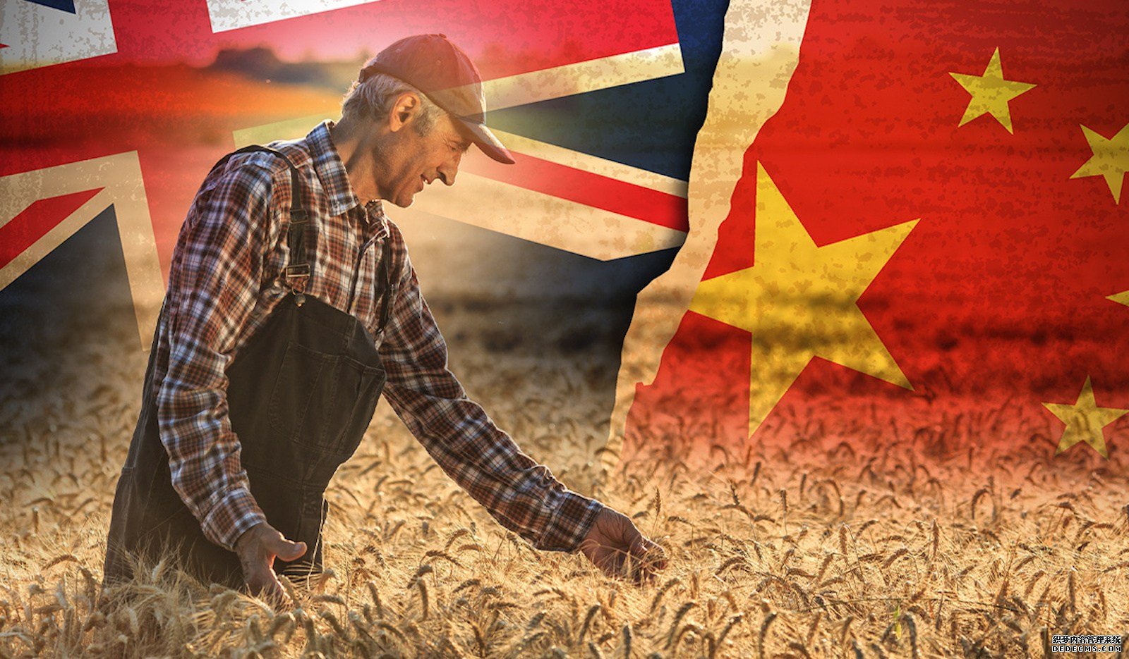 損失超5436億？澳新貿(mào)易部長(zhǎng)再向中方求和